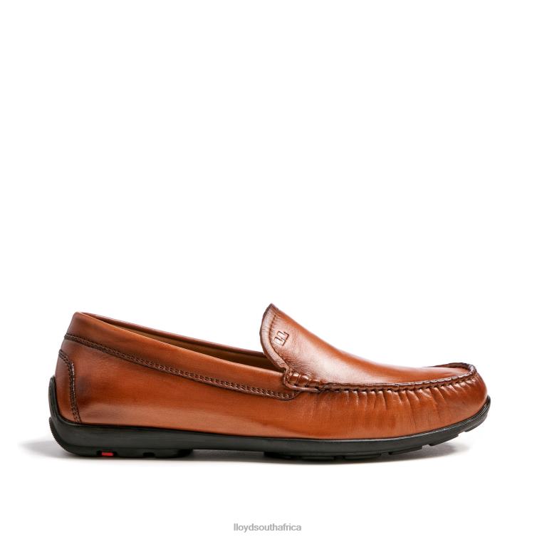 Shoes brown LLOYD EMILIO Men 86B4D621