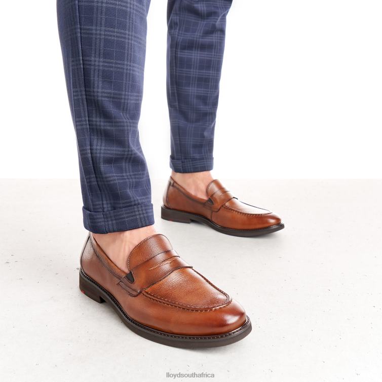 Shoes brown LLOYD REG Men 86B4D169