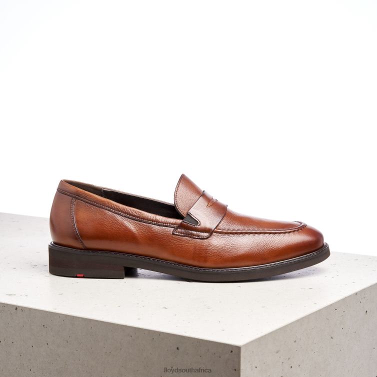 Shoes brown LLOYD REG Men 86B4D169