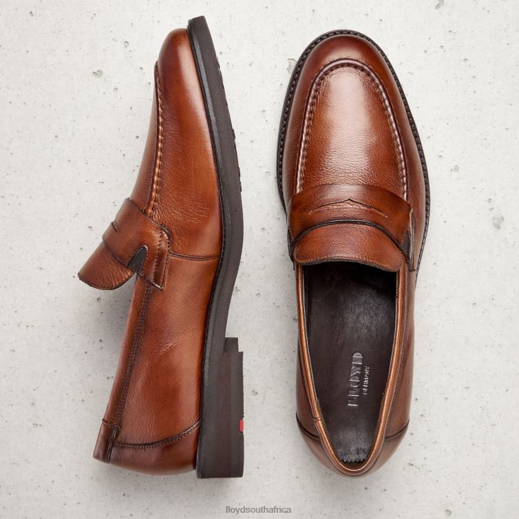 Shoes brown LLOYD REG Men 86B4D169