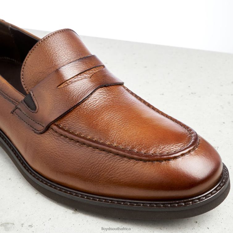 Shoes brown LLOYD REG Men 86B4D169