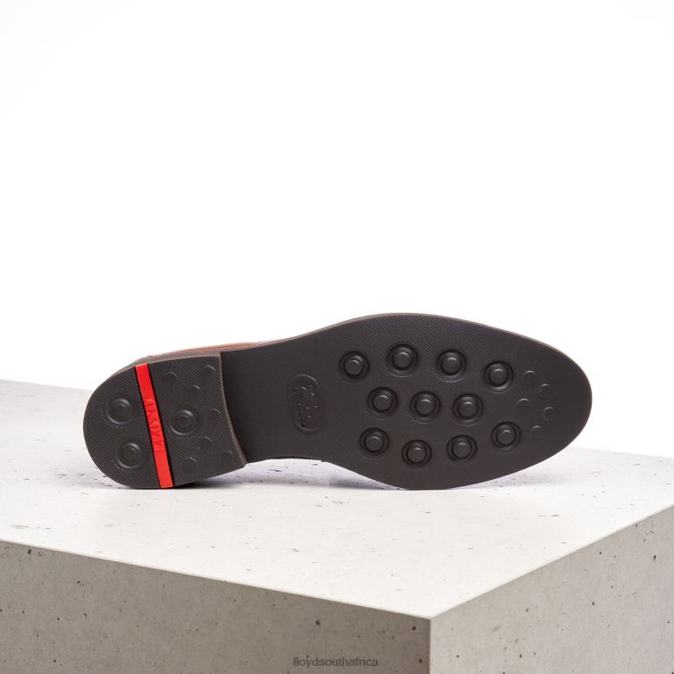 Shoes brown LLOYD REG Men 86B4D169