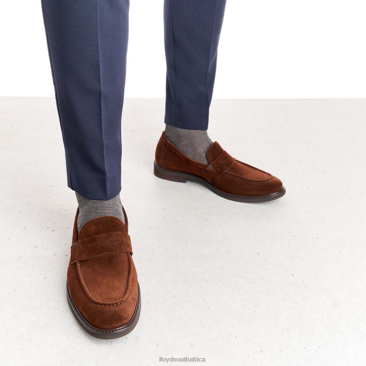 Shoes brown LLOYD REG Men 86B4D183