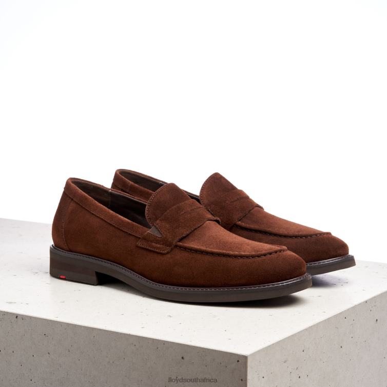 Shoes brown LLOYD REG Men 86B4D183