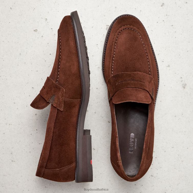 Shoes brown LLOYD REG Men 86B4D183