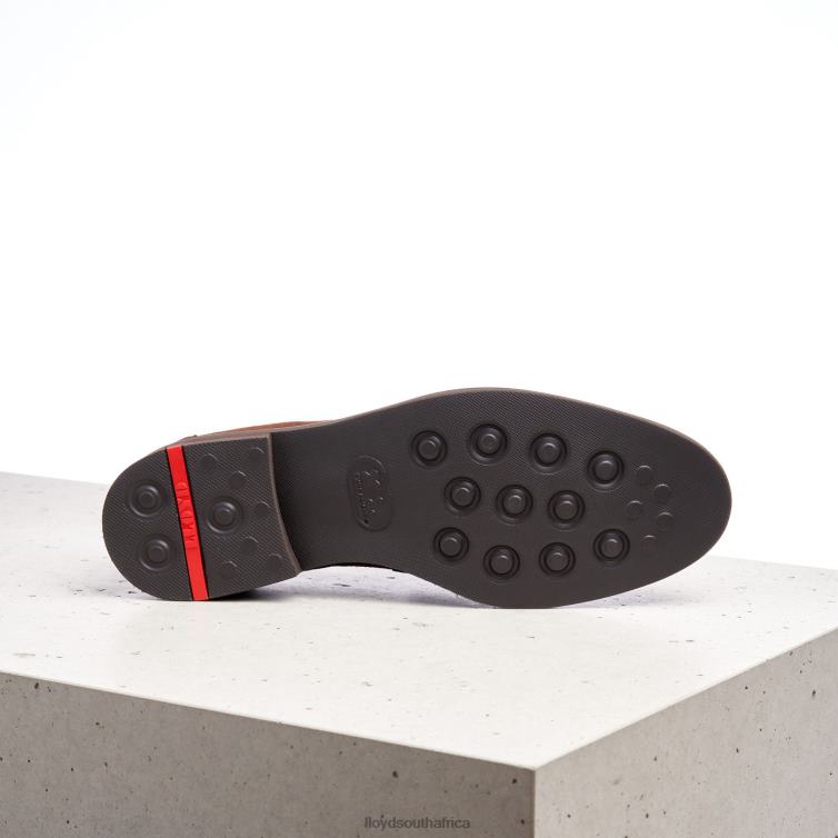 Shoes brown LLOYD REG Men 86B4D183