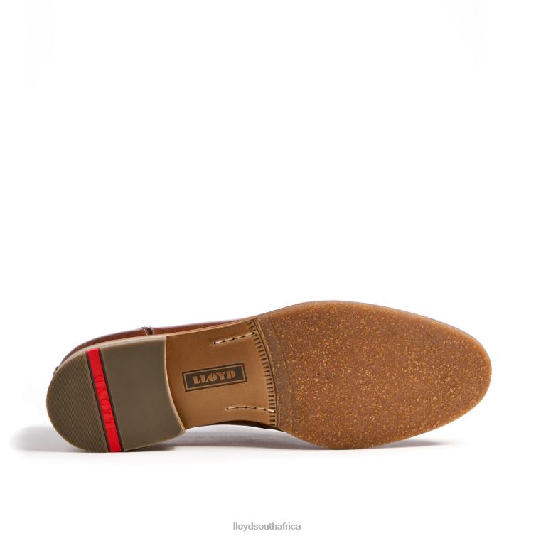 Shoes brown LLOYD RIPAN Men 86B4D1348