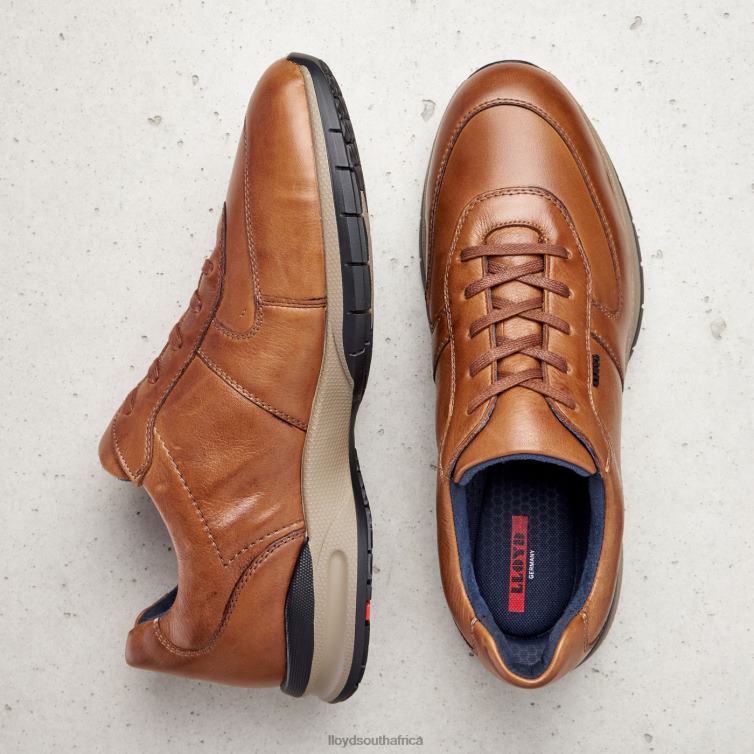 Shoes brown LLOYD ABERDEEN Men 86B4D392