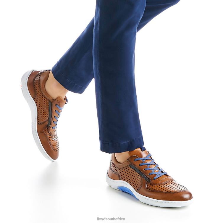 Shoes brown LLOYD ABOTT Men 86B4D415
