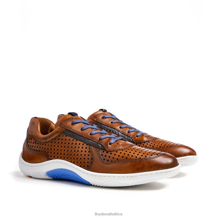 Shoes brown LLOYD ABOTT Men 86B4D415