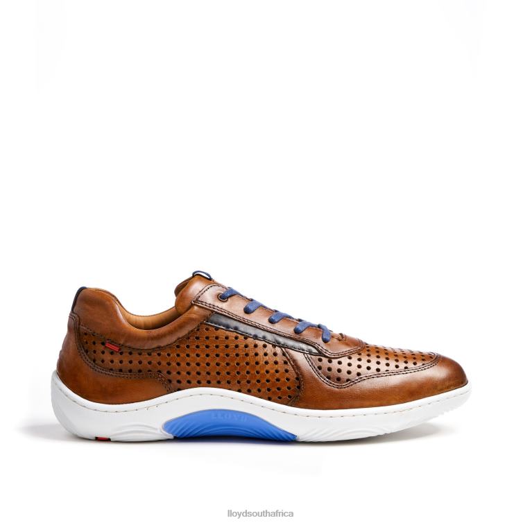 Shoes brown LLOYD ABOTT Men 86B4D415