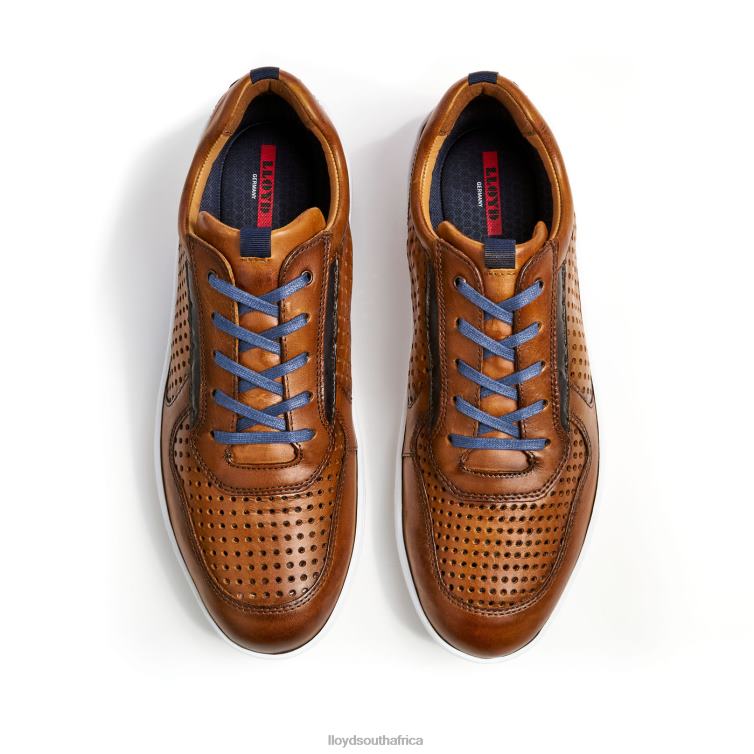 Shoes brown LLOYD ABOTT Men 86B4D415