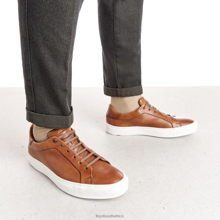 Shoes brown LLOYD AJAN Men 86B4D391