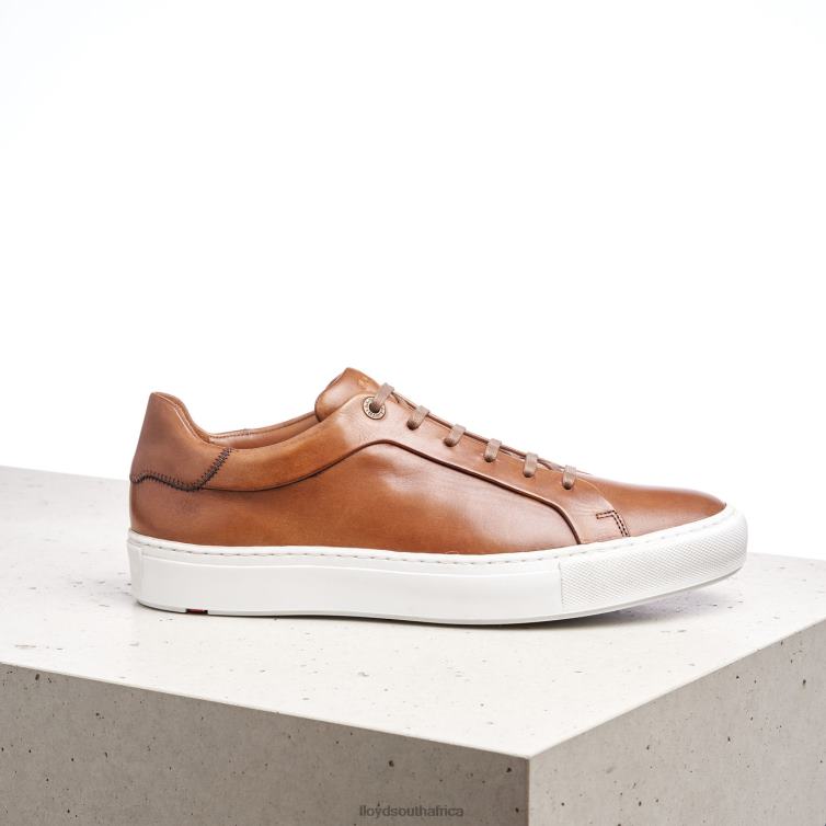 Shoes brown LLOYD AJAN Men 86B4D391