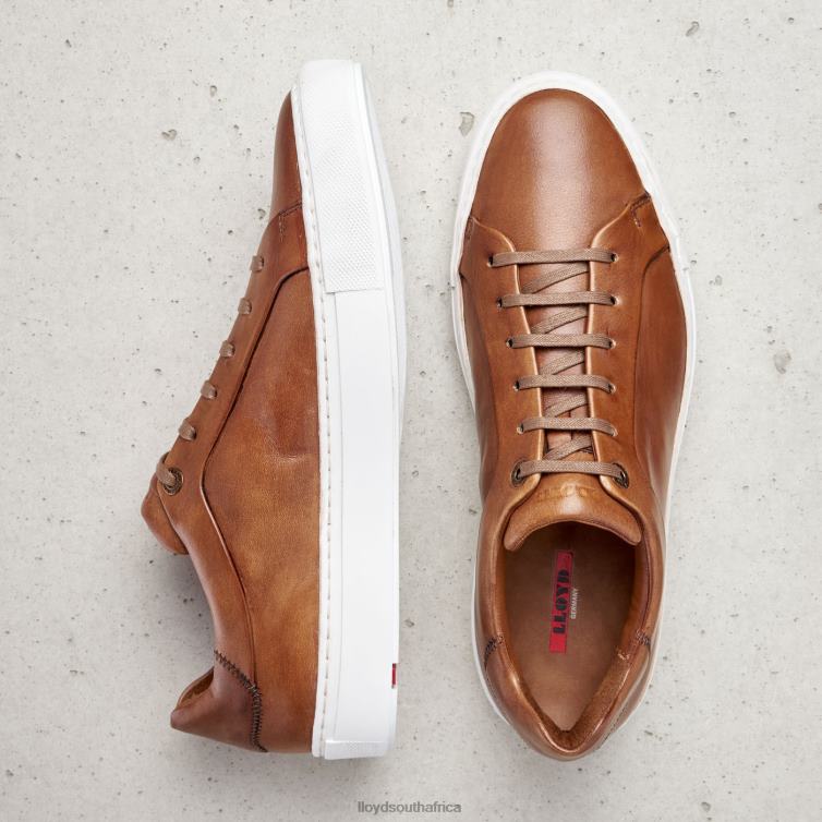 Shoes brown LLOYD AJAN Men 86B4D391