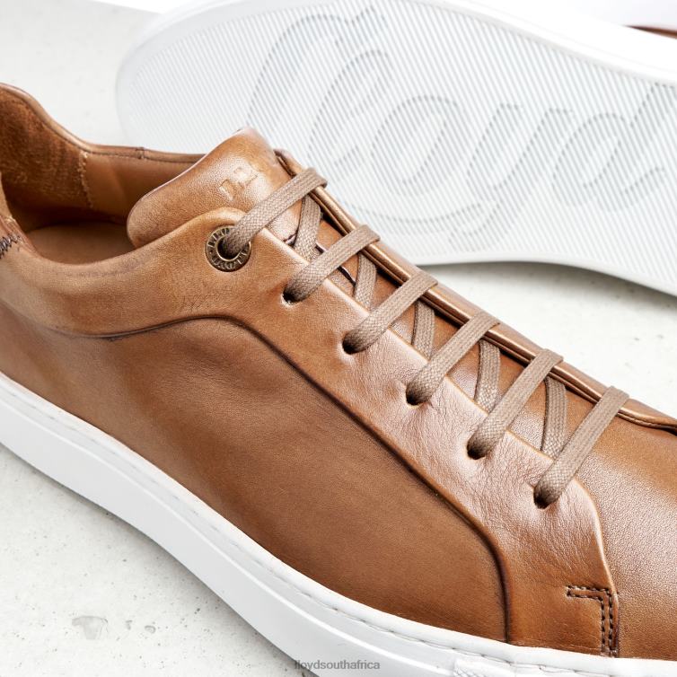 Shoes brown LLOYD AJAN Men 86B4D391
