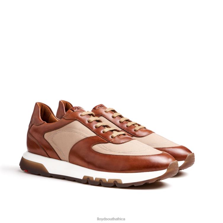 Shoes brown LLOYD ALBANY Men 86B4D1337