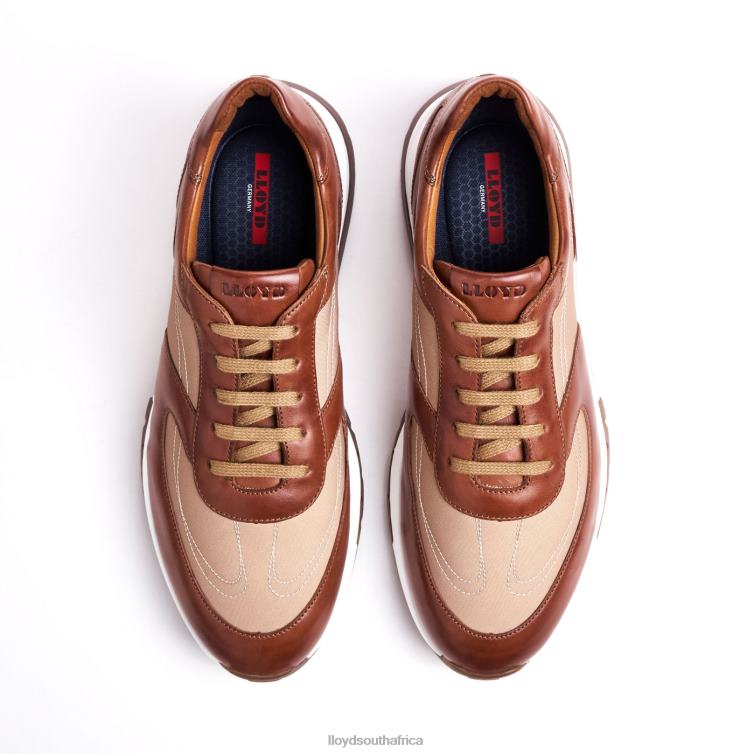 Shoes brown LLOYD ALBANY Men 86B4D1337