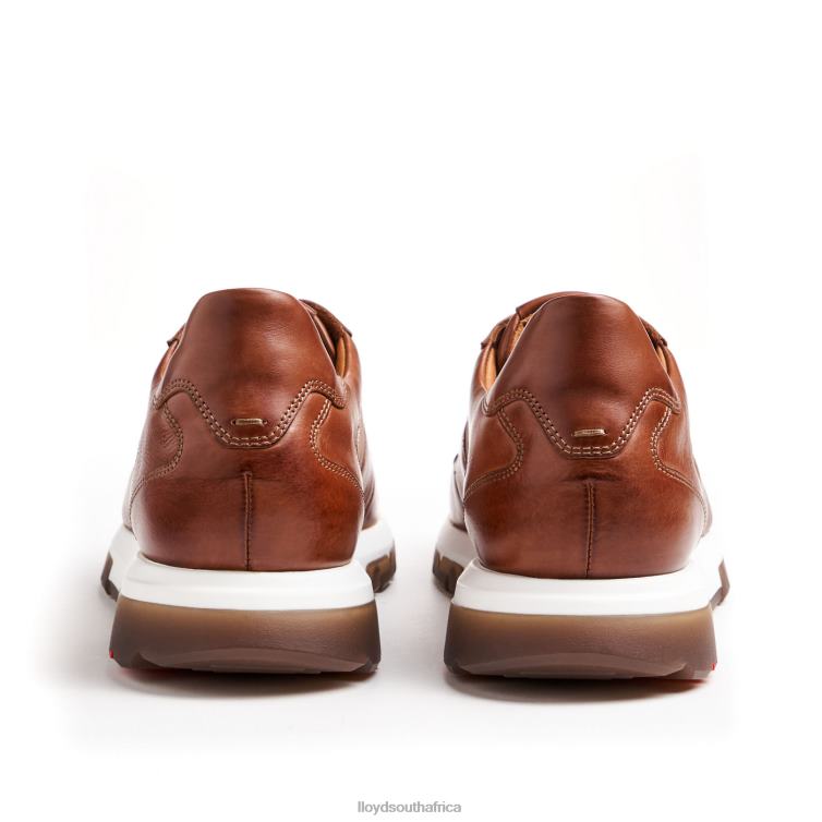 Shoes brown LLOYD ALBANY Men 86B4D1337