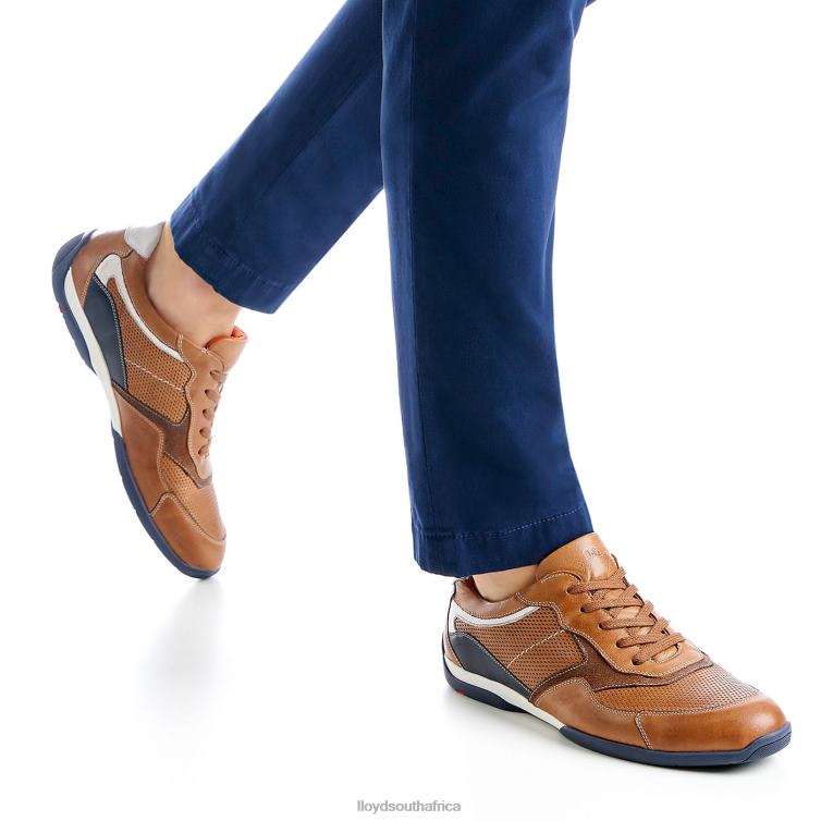 Shoes brown LLOYD BALTIMORE Men 86B4D287