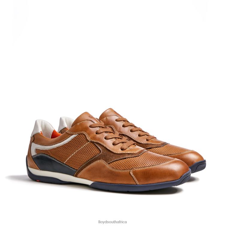 Shoes brown LLOYD BALTIMORE Men 86B4D287