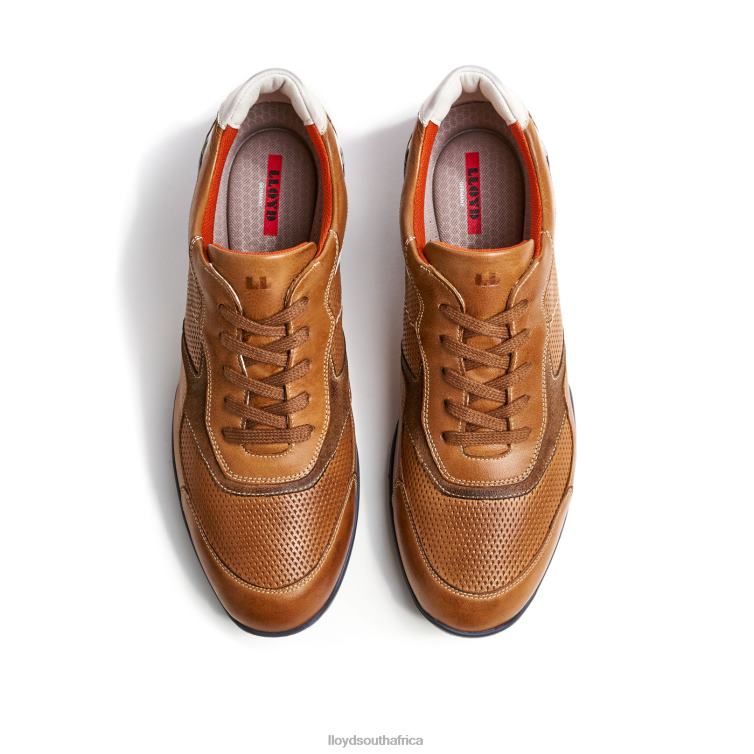 Shoes brown LLOYD BALTIMORE Men 86B4D287