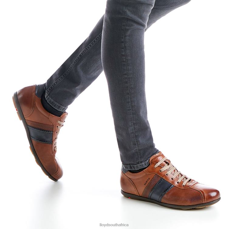 Shoes brown LLOYD BARETT Men 86B4D354