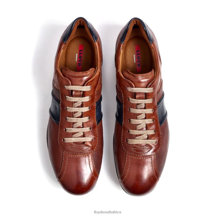 Shoes brown LLOYD BARETT Men 86B4D354