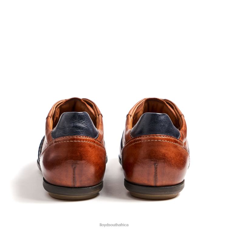 Shoes brown LLOYD BARETT Men 86B4D354