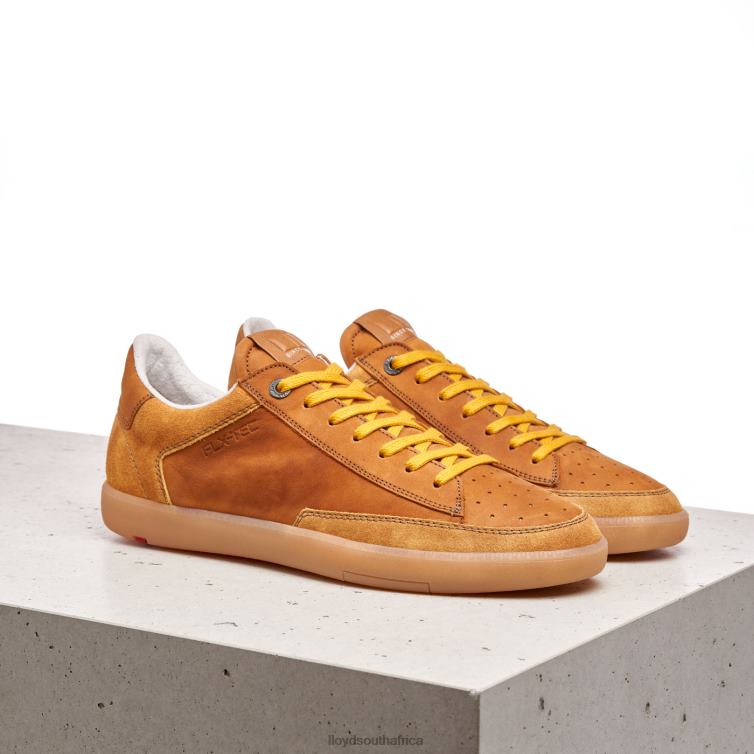 Shoes brown LLOYD BARON Men 86B4D427