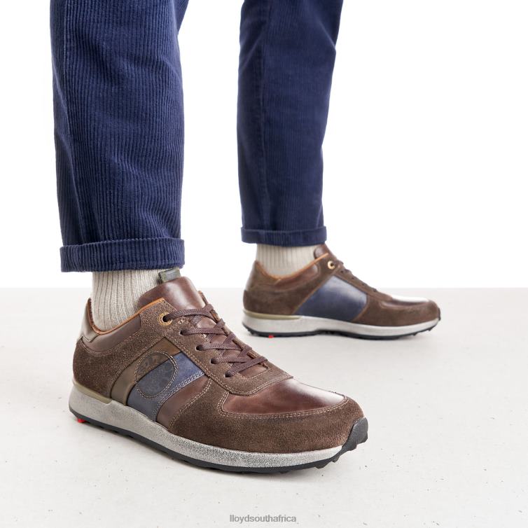 Shoes brown LLOYD BELLINGHAM Men 86B4D377