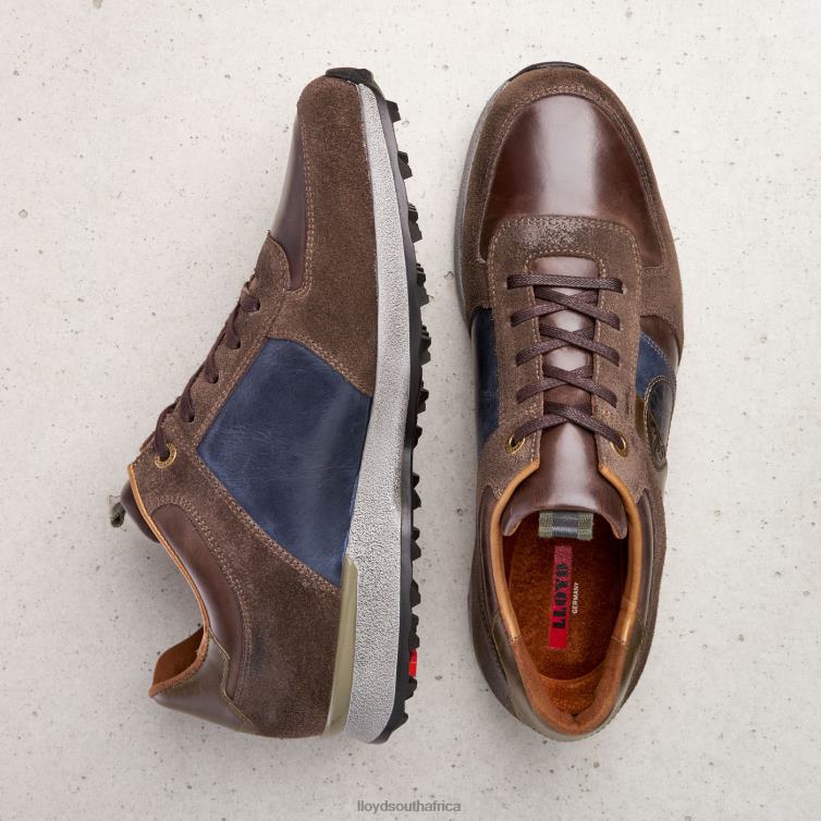 Shoes brown LLOYD BELLINGHAM Men 86B4D377