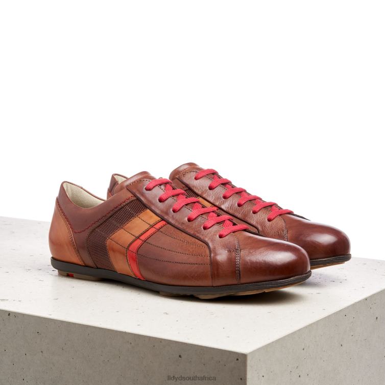Shoes brown LLOYD BENSON Men 86B4D439