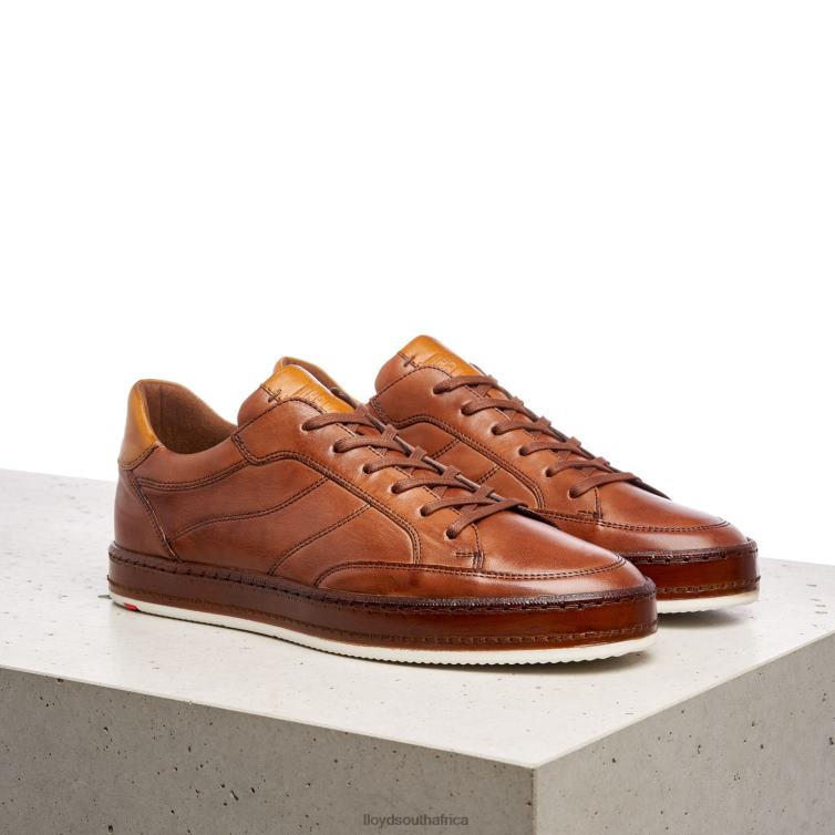 Shoes brown LLOYD BLACKBURN Men 86B4D440