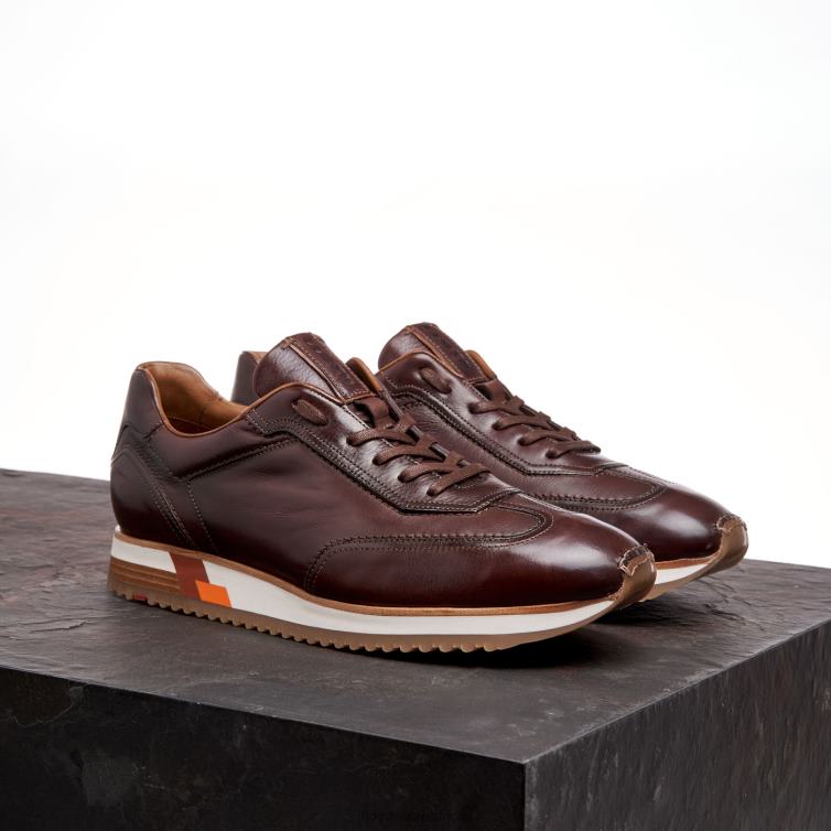 Shoes brown LLOYD BLAKE Men 86B4D325