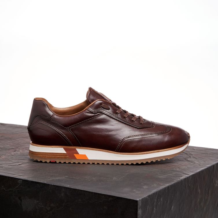 Shoes brown LLOYD BLAKE Men 86B4D325