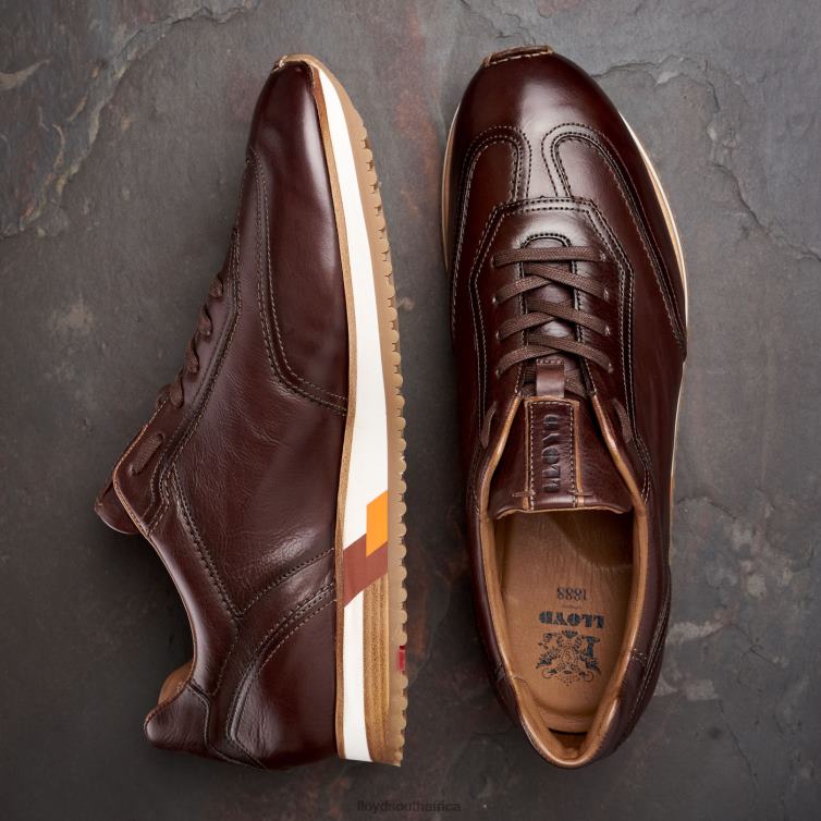 Shoes brown LLOYD BLAKE Men 86B4D325