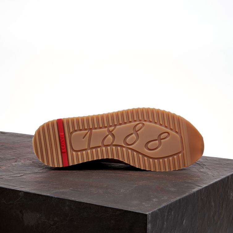 Shoes brown LLOYD BLAKE Men 86B4D378