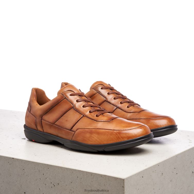 Shoes brown LLOYD BLOY Men 86B4D375