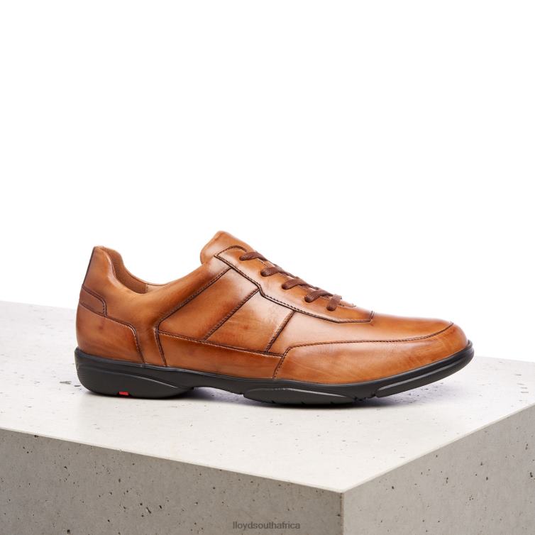 Shoes brown LLOYD BLOY Men 86B4D375