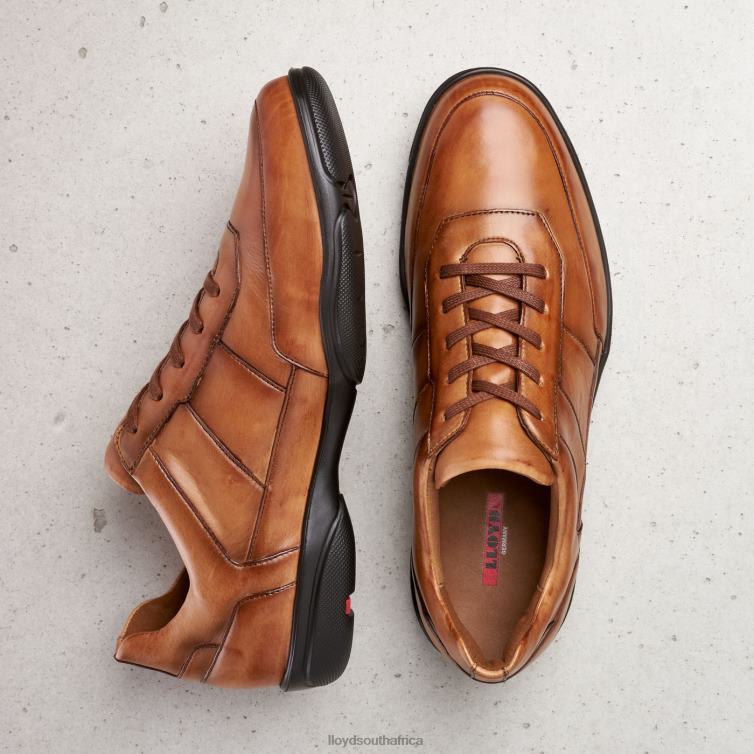 Shoes brown LLOYD BLOY Men 86B4D375