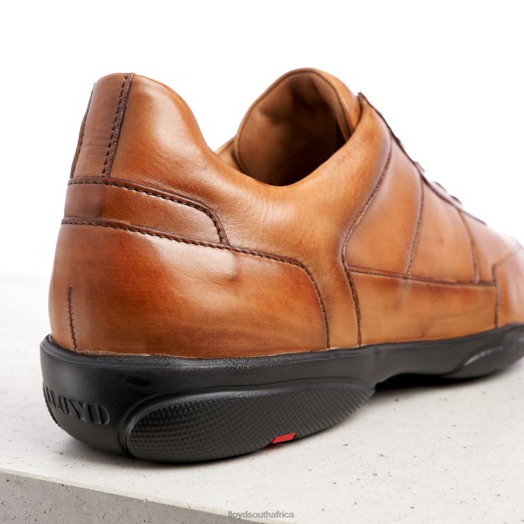 Shoes brown LLOYD BLOY Men 86B4D375