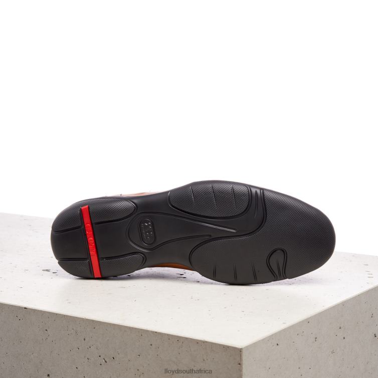 Shoes brown LLOYD BLOY Men 86B4D375