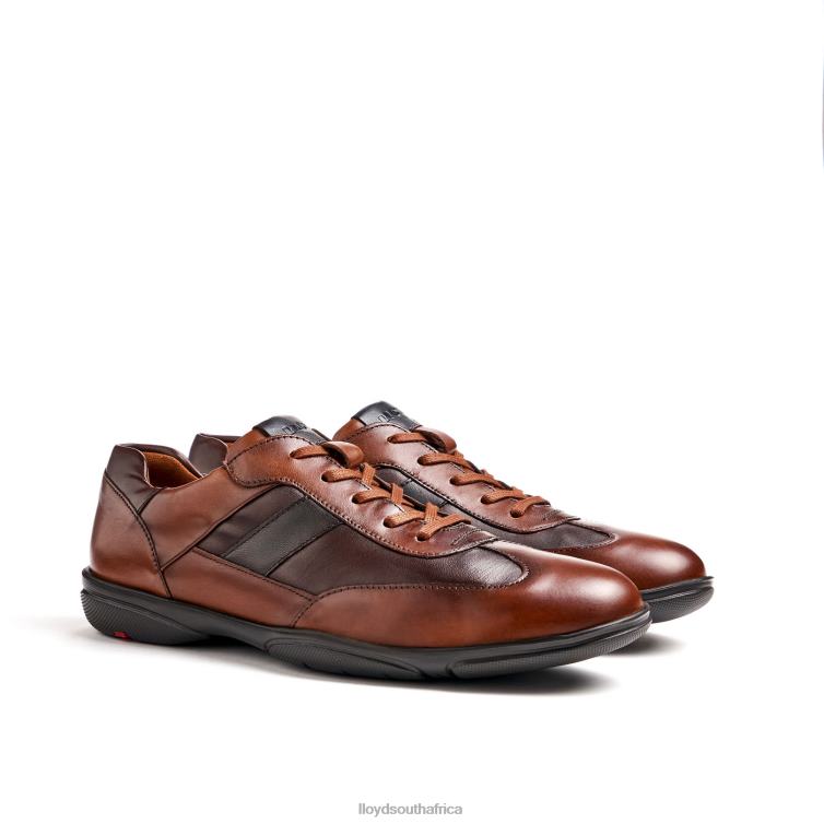 Shoes brown LLOYD BREVIS Men 86B4D418