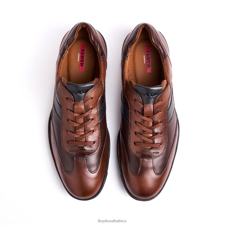 Shoes brown LLOYD BREVIS Men 86B4D418