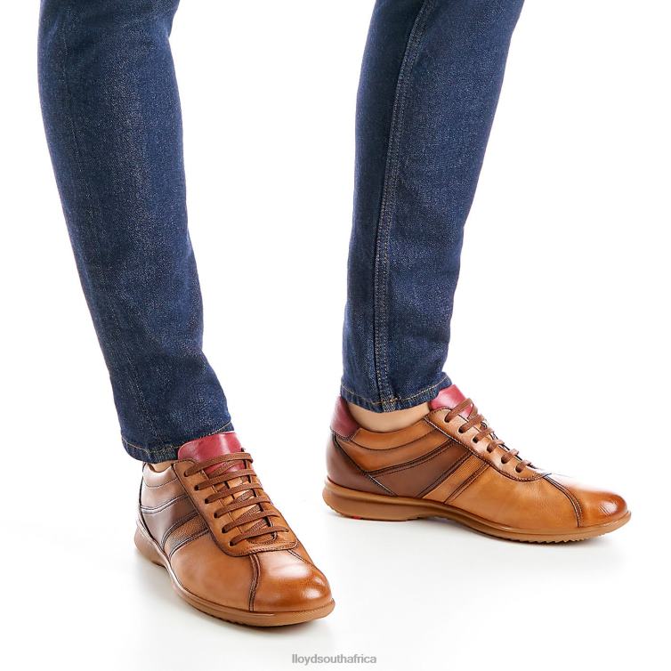 Shoes brown LLOYD DAVOS Men 86B4D308