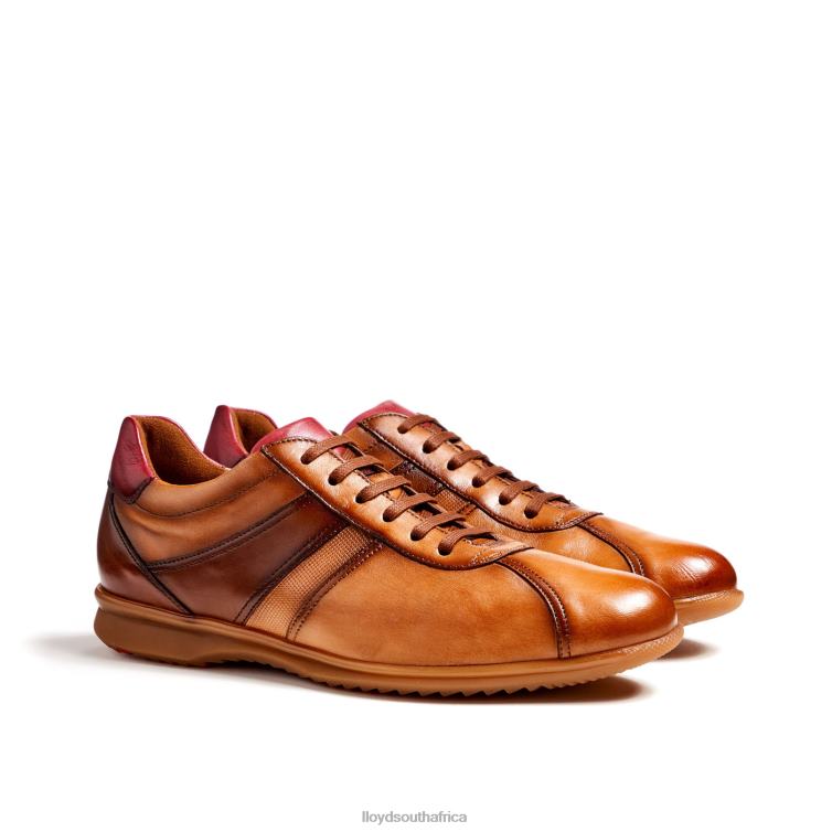 Shoes brown LLOYD DAVOS Men 86B4D308