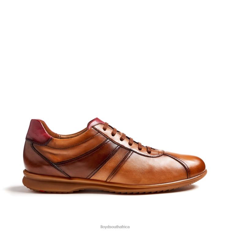 Shoes brown LLOYD DAVOS Men 86B4D308