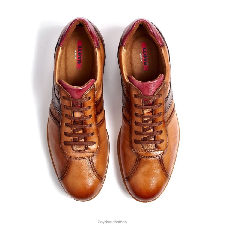 Shoes brown LLOYD DAVOS Men 86B4D308