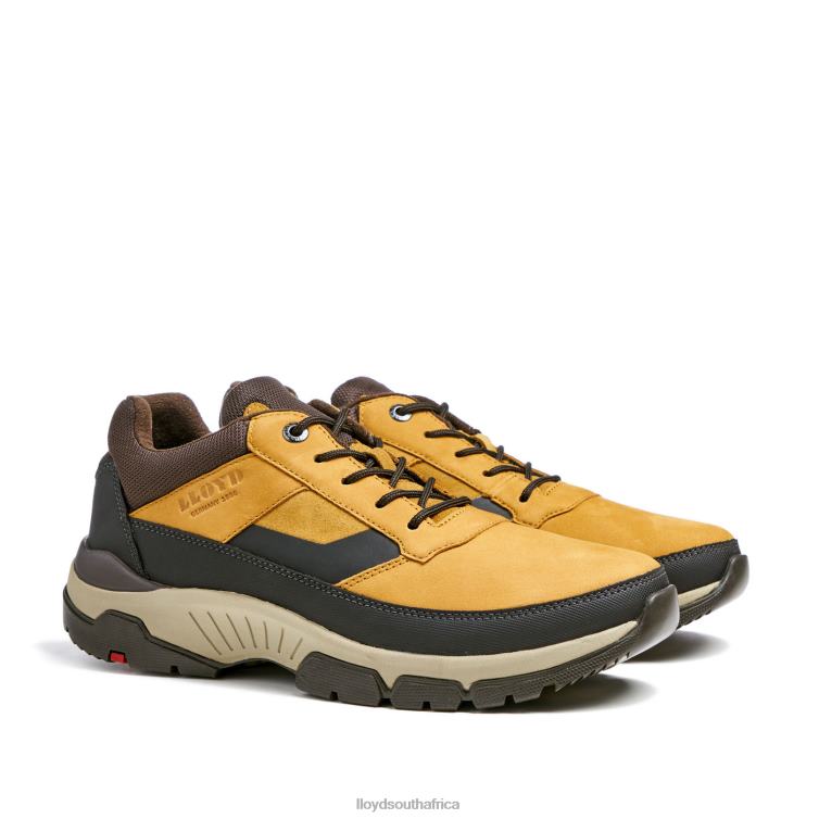 Shoes brown LLOYD EBE Men 86B4D295